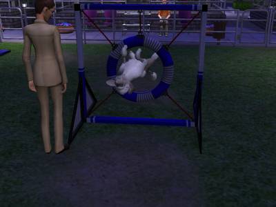 D:\Docs\Gamer\Electronic Arts\The SimsT Állatos Krónikák\Storytelling\Snapshot.bmp