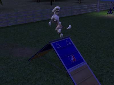 D:\Docs\Gamer\Electronic Arts\The SimsT Állatos Krónikák\Storytelling\Snapshot.bmp