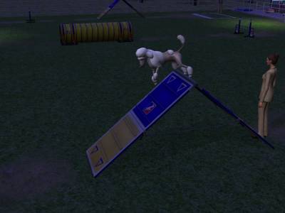 D:\Docs\Gamer\Electronic Arts\The SimsT Állatos Krónikák\Storytelling\Snapshot.bmp