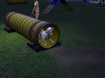 D:\Docs\Gamer\Electronic Arts\The SimsT Állatos Krónikák\Storytelling\Snapshot.bmp