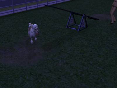 D:\Docs\Gamer\Electronic Arts\The SimsT Állatos Krónikák\Storytelling\Snapshot.bmp