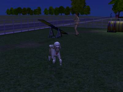 D:\Docs\Gamer\Electronic Arts\The SimsT Állatos Krónikák\Storytelling\Snapshot.bmp