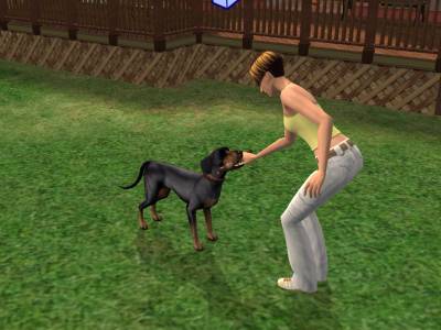 D:\Docs\Gamer\Electronic Arts\The SimsT Állatos Krónikák\Storytelling\Snapshot.bmp
