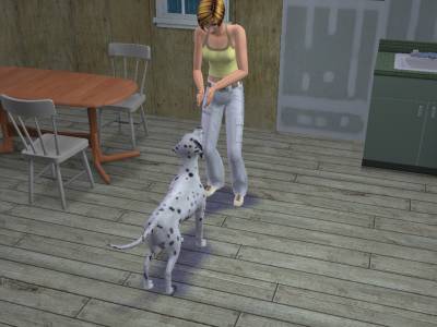 C:\Documents and Settings\sims\My Documents\Electronic Arts\The SimsT Állatos Krónikák\Storytelling\Snapshot.bmp