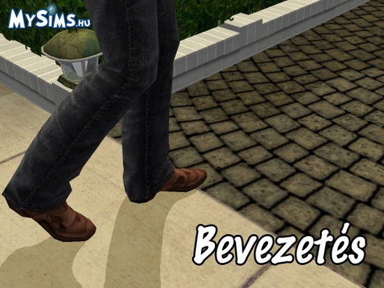 bev.jpg
